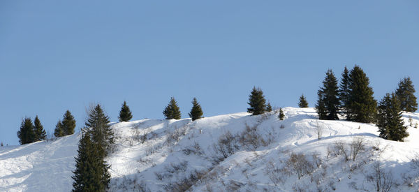 Snow covered land and trees against clear sky