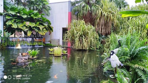 Bird on a lake