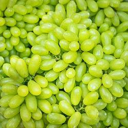 Full frame shot of green beans