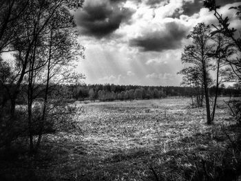 Scenic view of grassy field against cloudy sky