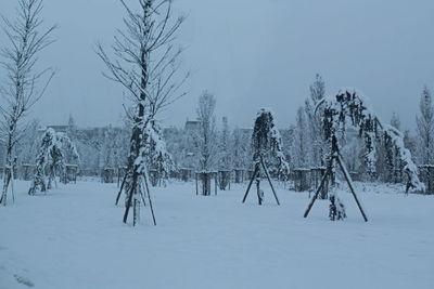 Bare trees on snow covered landscape against sky