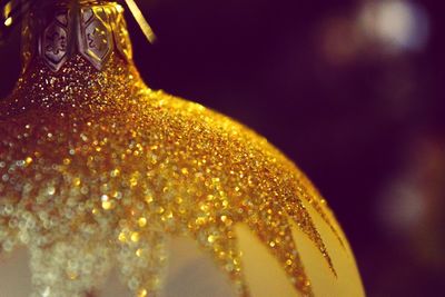 Close-up of illuminated christmas lights