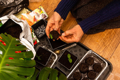 High angle view of woman preparing food at market