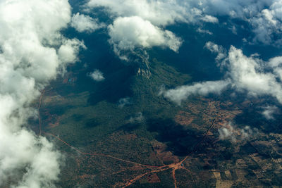 Aerial view of trees on land in kenya