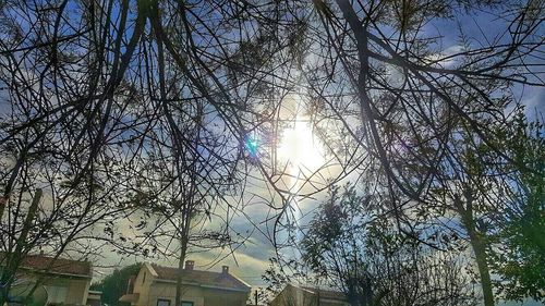 Low angle view of bare trees against blue sky