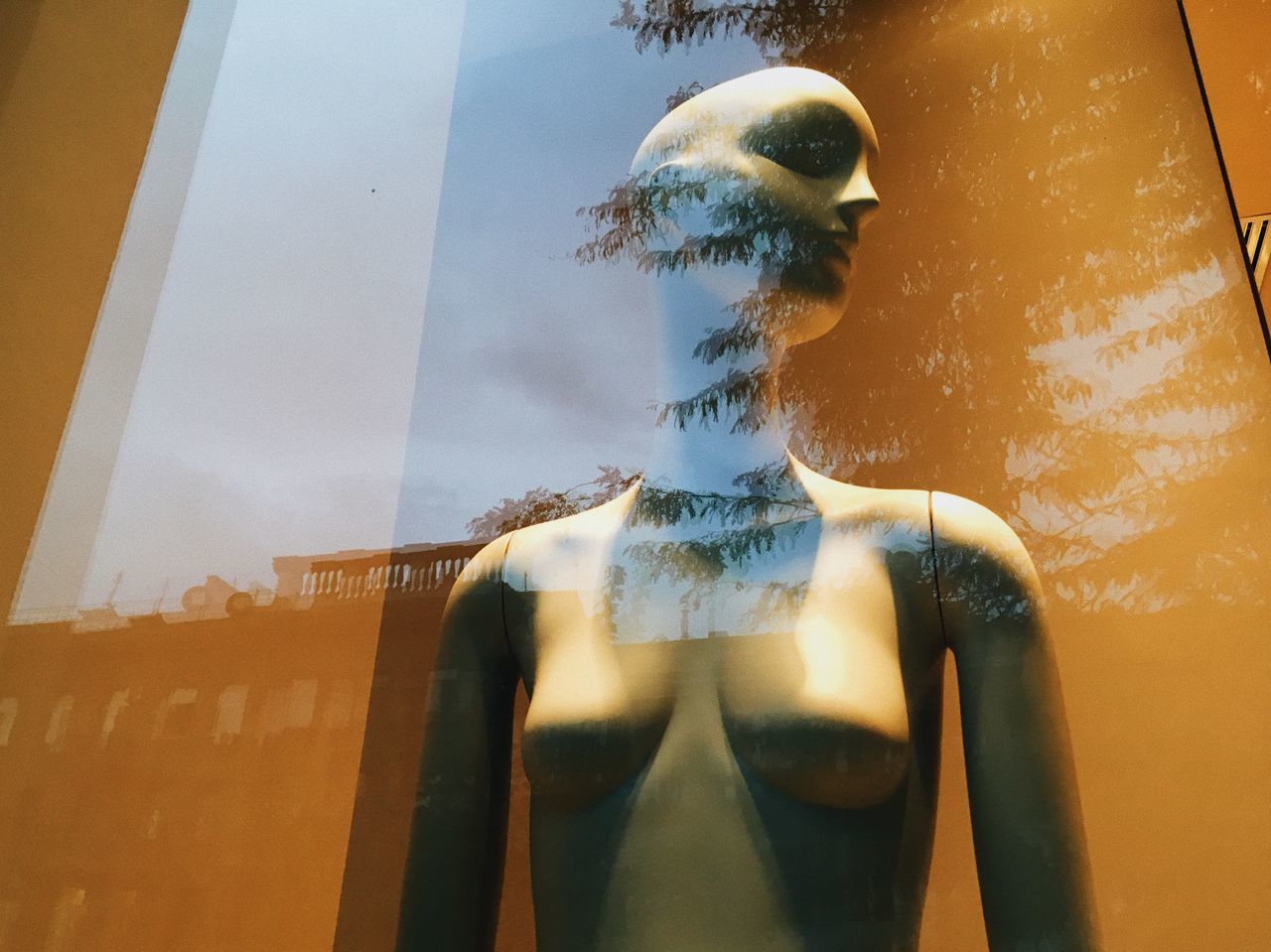 REAR VIEW OF WOMAN STANDING BY WINDOW AGAINST SKY