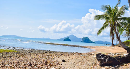 Scenic view of beach against sky