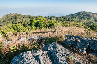 Scenic view of landscape against sky