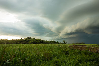 Scenic view of agricultural field against sky