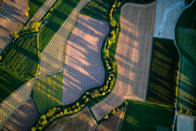 Aerial view of landscaped field