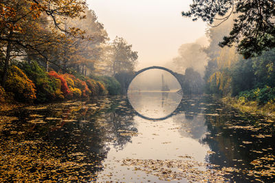 Reflection of trees in lake during autumn