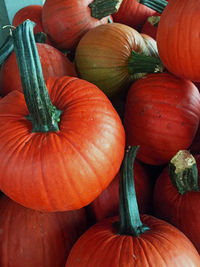Close-up of red chili peppers