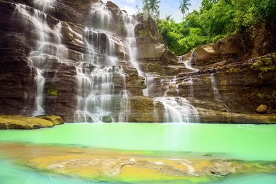 Scenic view of waterfall in forest