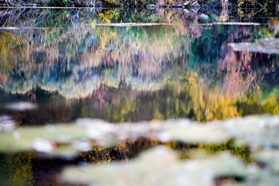 Scenic view of lake