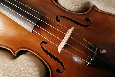 Close-up of violin