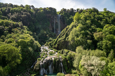 Scenic view of waterfall in forest