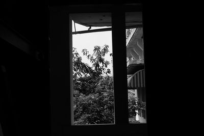 Silhouette trees and building seen through window