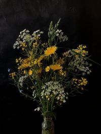 Close-up of flower vase against black background