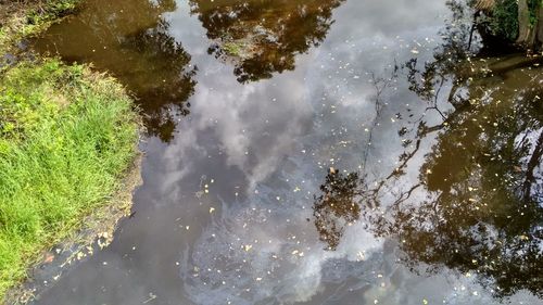 High angle view of trees reflection in water