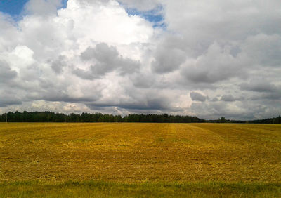 Scenic view of field against sky