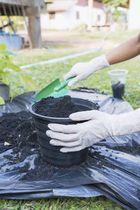 Cropped hand of man holding potted plant