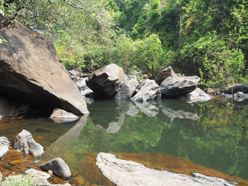 Scenic view of rocks in forest