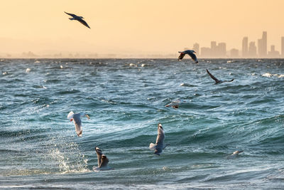 Birds flying over sea against sky