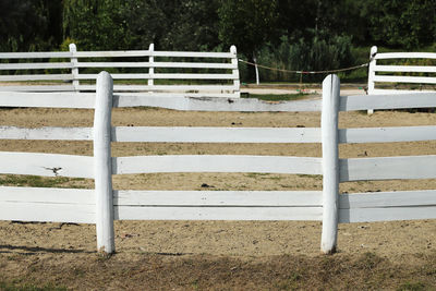 View of fence on field against trees