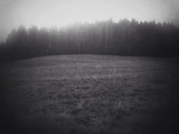 Trees on field in foggy weather