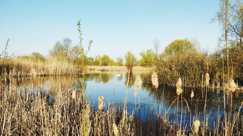 Scenic view of lake against clear sky