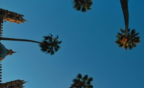 Low angle view of trees against clear blue sky