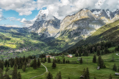 mountain