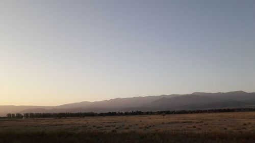 Scenic view of field against clear sky