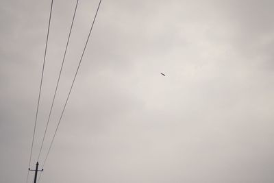 Low angle view of birds flying against sky