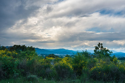 Scenic view of landscape against sky