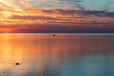 Gorgeous summer sunset over sea in hittarp, helsingborg, sweden.