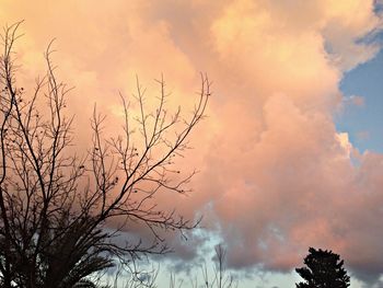 Low angle view of bare trees against cloudy sky