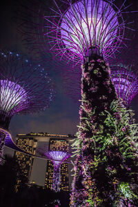 Low angle view of illuminated tree against building at night