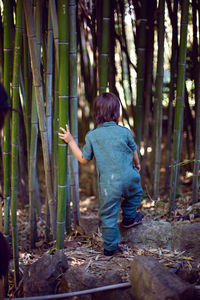 Boy child in a green jumpsuit walks among tall bamboos in the summer afternoon