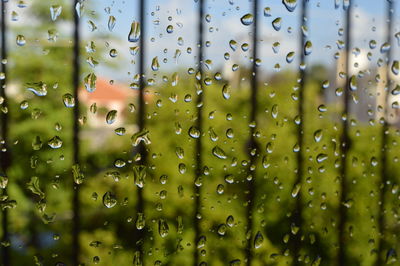 Full frame shot of wet glass window during rainy season