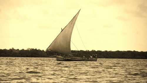 Boat sailing in sea