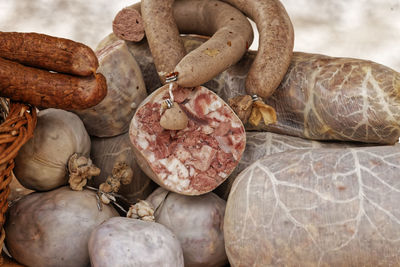 Close-up of shells