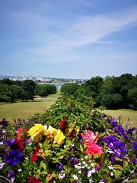 Scenic view of flowering plants and trees against sky