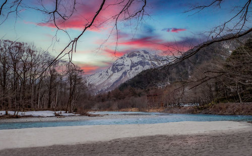 Scenic view of bare trees against sky during sunset