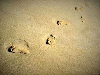 High angle view of footprints on sand