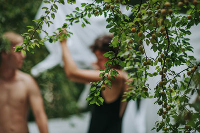 People standing by tree