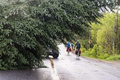 Rear view of man riding bicycle on road