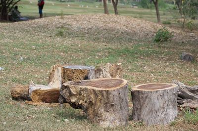 Wooden logs on field