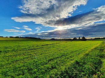 Scenic view of field against sky