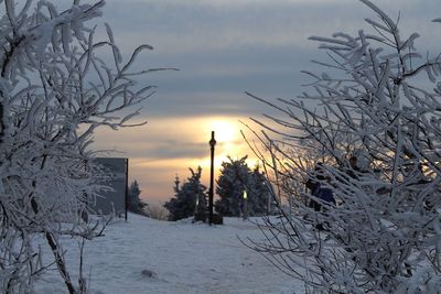 Bare trees on snow covered field against sky during sunset